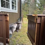 Cozy Near Besseggen With A Outdoor Area! *