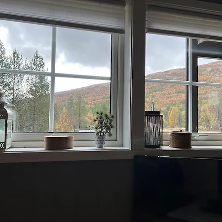 Apartment Med Fin Uteplass! Randsverk