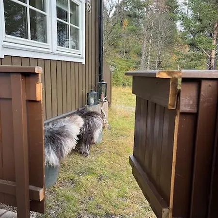 Med Fin Uteplass! *