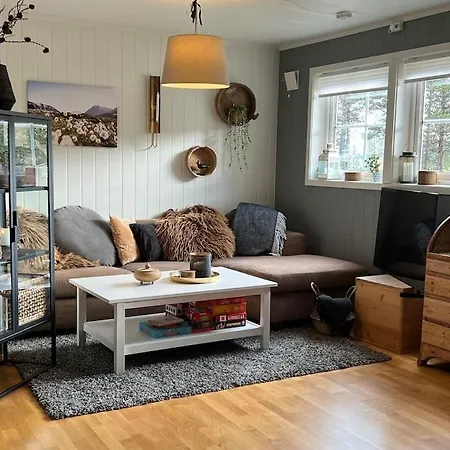 Med Fin Uteplass! Apartment