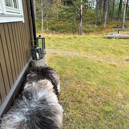 Med Fin Uteplass! * Randsverk
