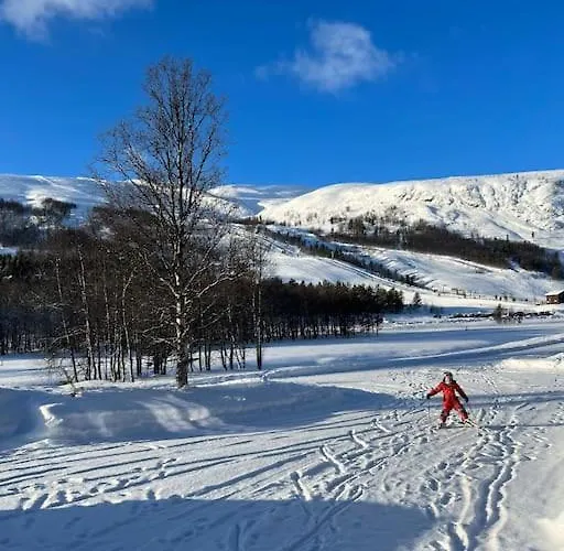 Cozy Near Besseggen With A Outdoor Area! *