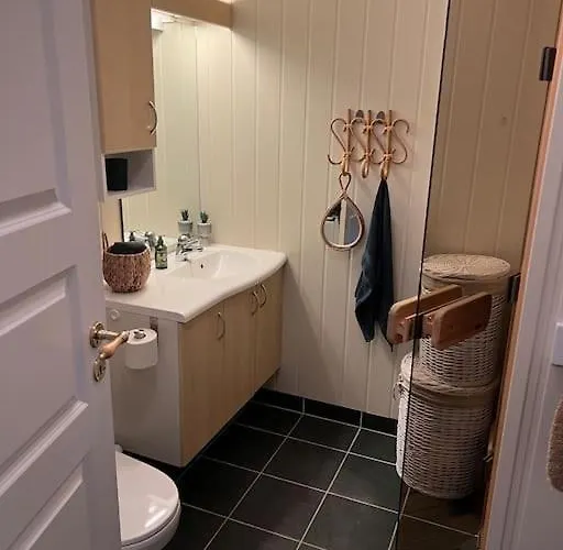 Cozy Near Besseggen With A Outdoor Area! شقة *
