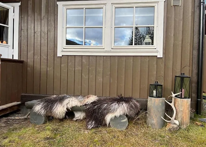 Cozy Near Besseggen With A Outdoor Area! Апартаменты Randsverk