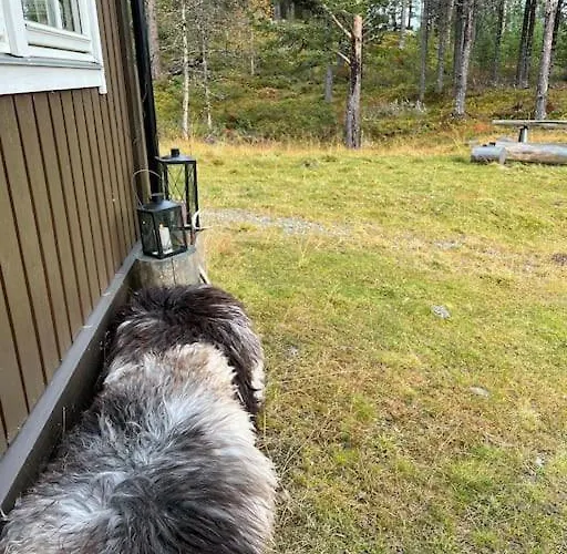 Cozy Near Besseggen With A Outdoor Area! * Randsverk