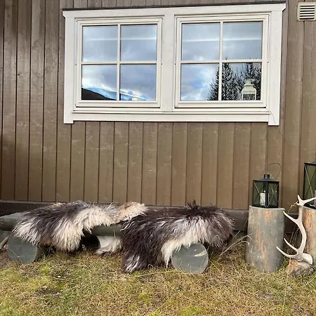 Cozy Near Besseggen With A Outdoor Area! Leilighet Randsverk